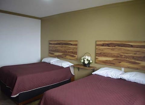 Hotel Vista Markés Hotel in State of Puebla