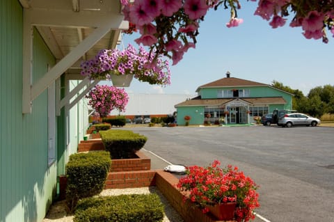 View (from property/room)