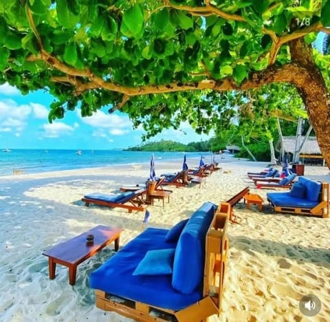 Lounge or bar