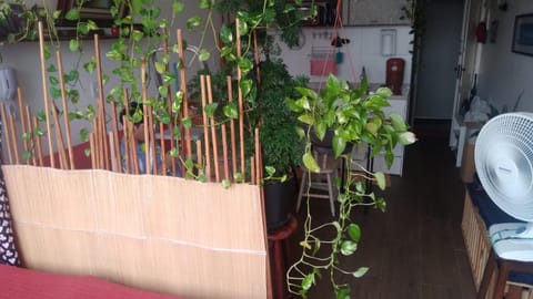 Kitnet Apartment in Santa Teresa