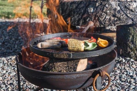 Patio, BBQ facilities