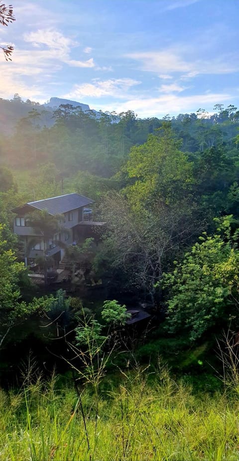 Natural landscape, Garden