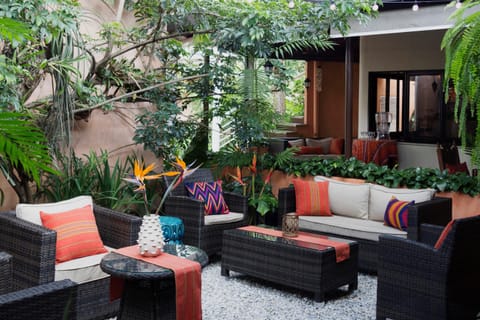 Garden view