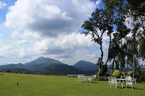 Garden, Garden view, Mountain view