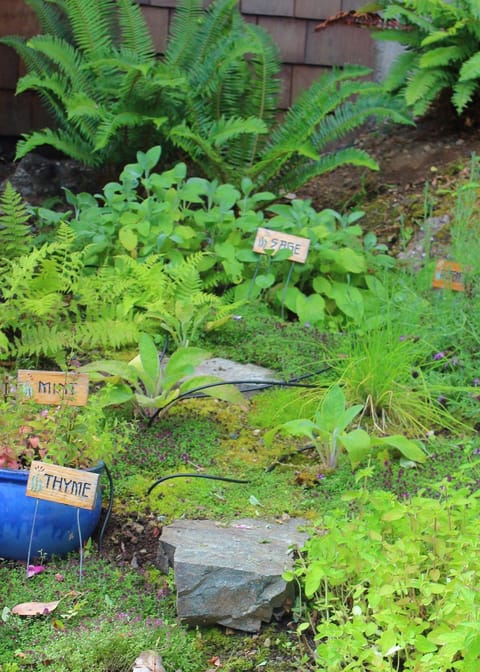 Property building, Garden