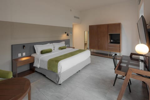 Gamma Orizaba Grand Hotel de France Hotel in Orizaba