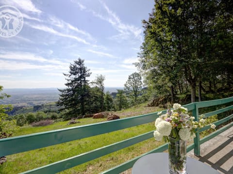 Gîte chalet autrichien avec cheminée et animaux acceptés - FR-1-496-177 House in Auvergne-Rhône-Alpes