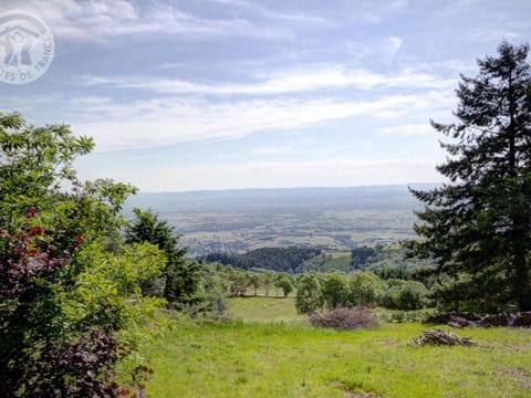 Gîte chalet autrichien avec cheminée et animaux acceptés - FR-1-496-177 House in Auvergne-Rhône-Alpes