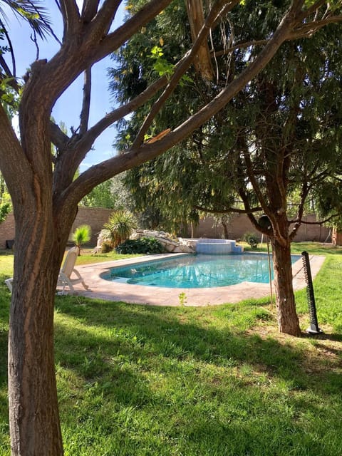 Garden, Swimming pool