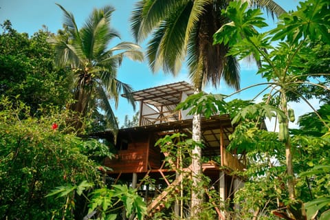 Restaurant/places to eat, Restaurant/places to eat, Day, Natural landscape, Activities, Garden, Dining area, Beach, Guests, Sea view, Area and facilities, internet
