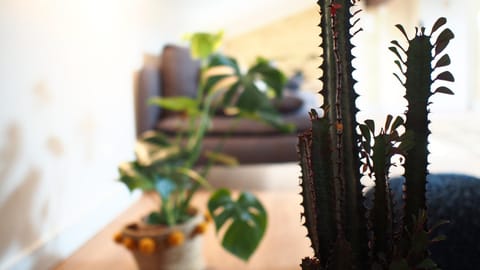 Decorative detail