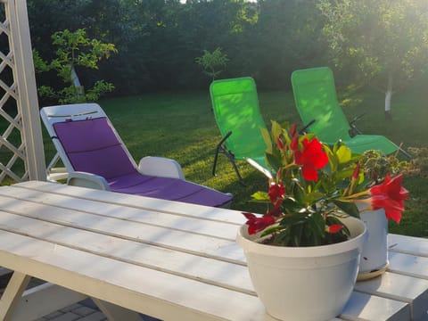 Apartament nad jeziorem WELLE Apartment in West Pomeranian Voivodeship, Poland