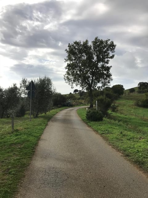 Natural landscape, View (from property/room)