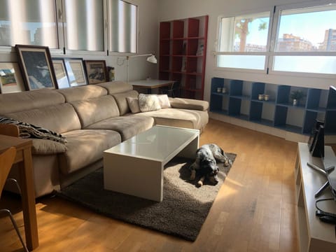 Estudio acogedor renfe Vacation rental in Alicante