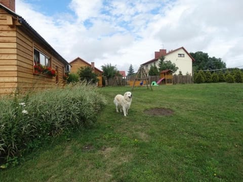 Off site, Location
