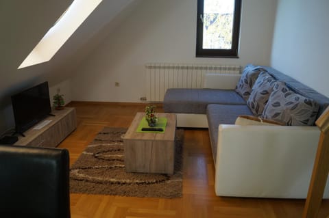 Duplex Carlos Apartment in Zlatibor