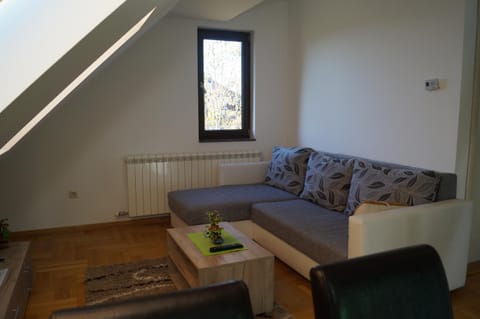 Duplex Carlos Apartment in Zlatibor