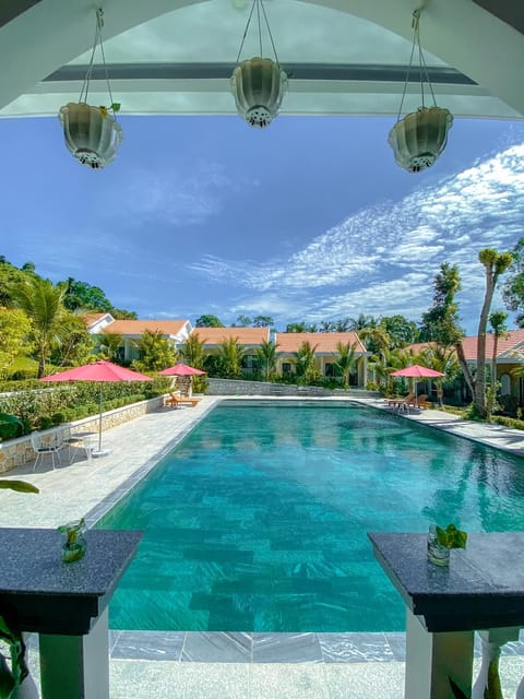 Garden, Pool view, Swimming pool, sunbed