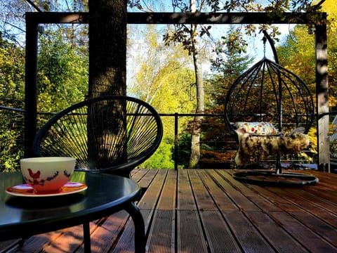Patio, Day, Garden, Garden view