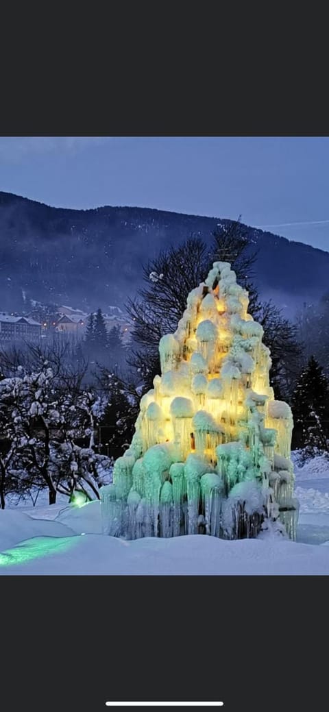 Hotel Rosengarten Hotel in Tarvisio