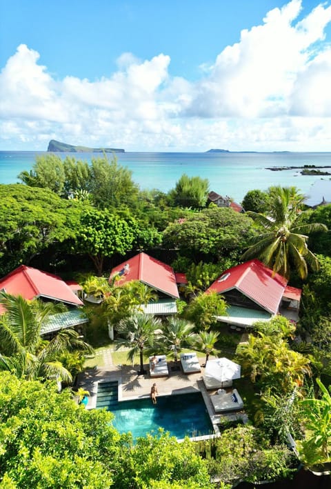 Bird's eye view, View (from property/room), Beach, Pool view, Swimming pool