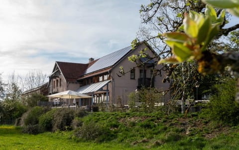 Property building, Spring, Day, Natural landscape, Garden, Garden view