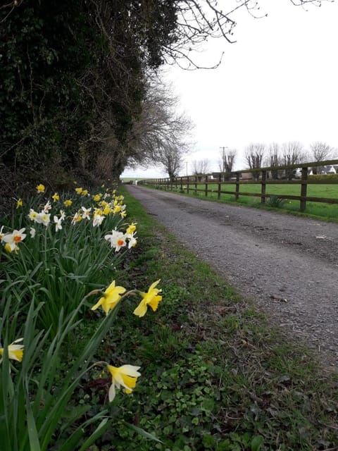 Wellfield Farmhouse House in Co. Tipperary, Ireland
