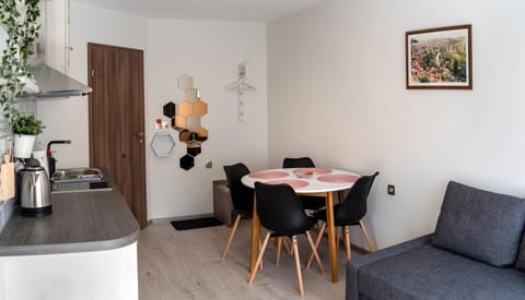 GUEST ROOMS ASENEVTSI CITY CENTER Apartment in Veliko Tarnovo