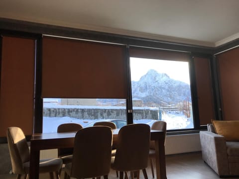 Living room, Business facilities, Seating area, Dining area, Meeting/conference room, Mountain view