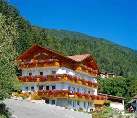 Facade/entrance, Day, Summer