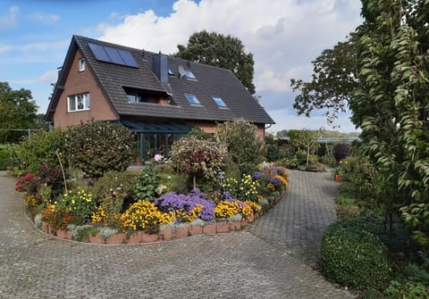 Property building, Garden view