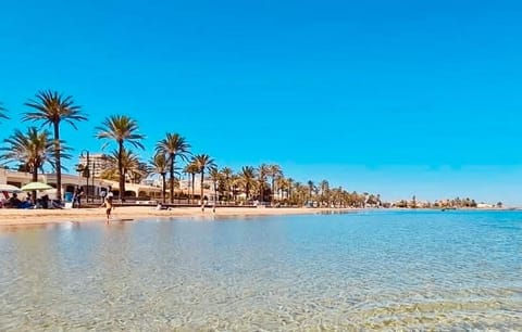 Neighbourhood, Beach, sunbed