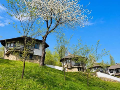 Spring, Day, Garden, Garden view