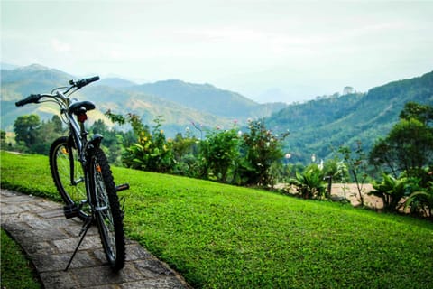 Natural landscape, Garden, Cycling, Mountain view