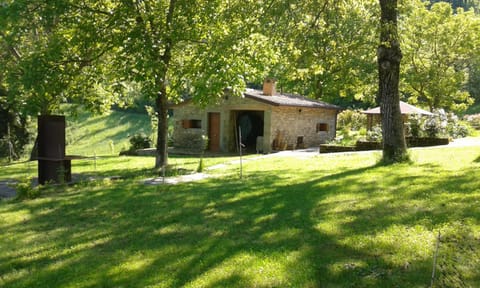 Property building, Garden, Garden view