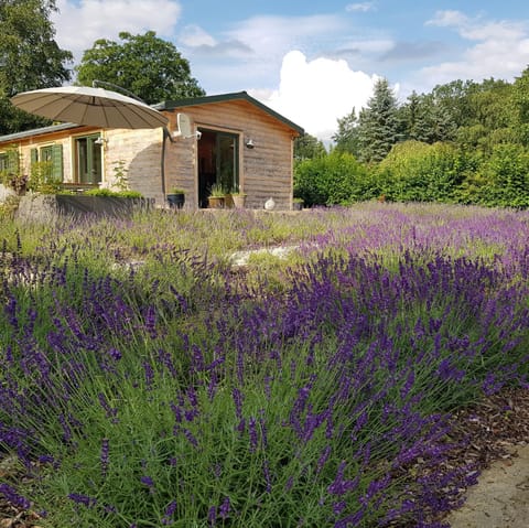 Garden, Garden view