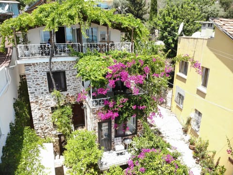 Property building, Bird's eye view, Garden view