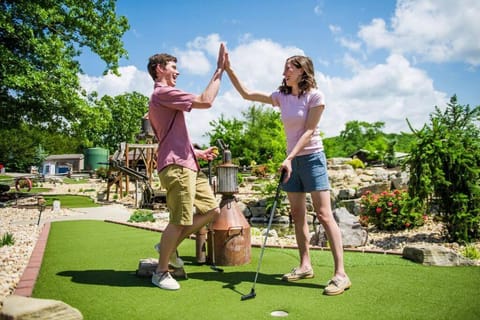 8 Bed Luxury Lakefront Villa Amazing View 2 Pools Free Resort Amenities Dock House in Table Rock Lake