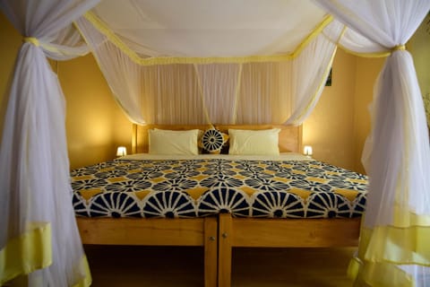 Bed, Photo of the whole room, bunk bed