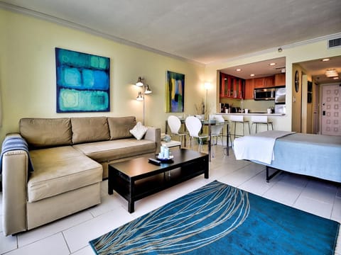 Ocean Sands 504 Beachfront Studio Condo Apartment in Redington Beach