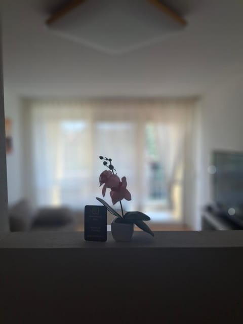 Appartement Shirin Apartment in Rust