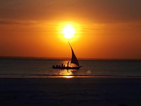 Beach, Sunset