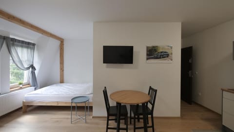 Bed, TV and multimedia, Kitchen or kitchenette, Living room, Photo of the whole room, Seating area, Dining area, Bedroom