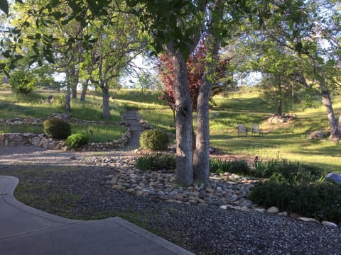 Spring, Natural landscape, Garden view