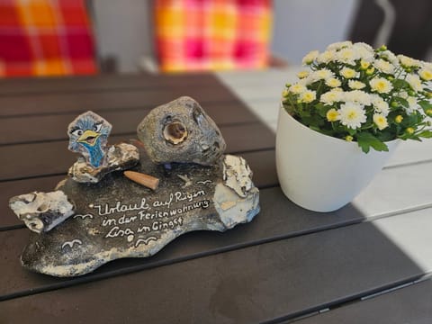 Ferienwohnung Lisa Apartment in Mecklenburg-Vorpommern, Germany