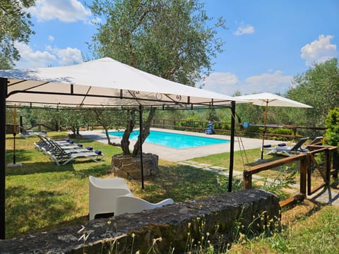 Swimming pool, sunbed