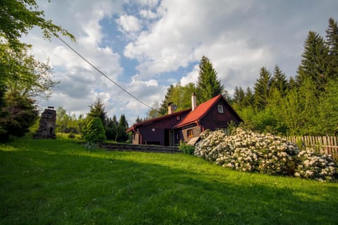 Property building, Spring, Natural landscape, Garden, Garden view