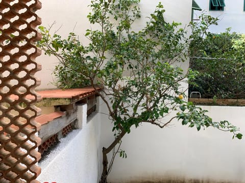 PIVARADA 50 Apartment in Alghero