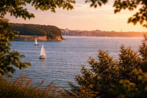 Ferienwohnung Hohe Luft OG Apartment in Region of Southern Denmark