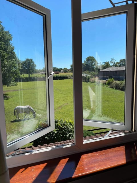 Natural landscape, Garden view